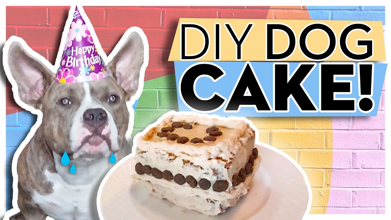 Easy Dog Friendly Birthday Cake Recipe With Frosting