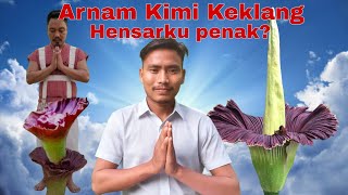 Download lagu Arnam kemi kelang amat Hen sarku penak? mp3
