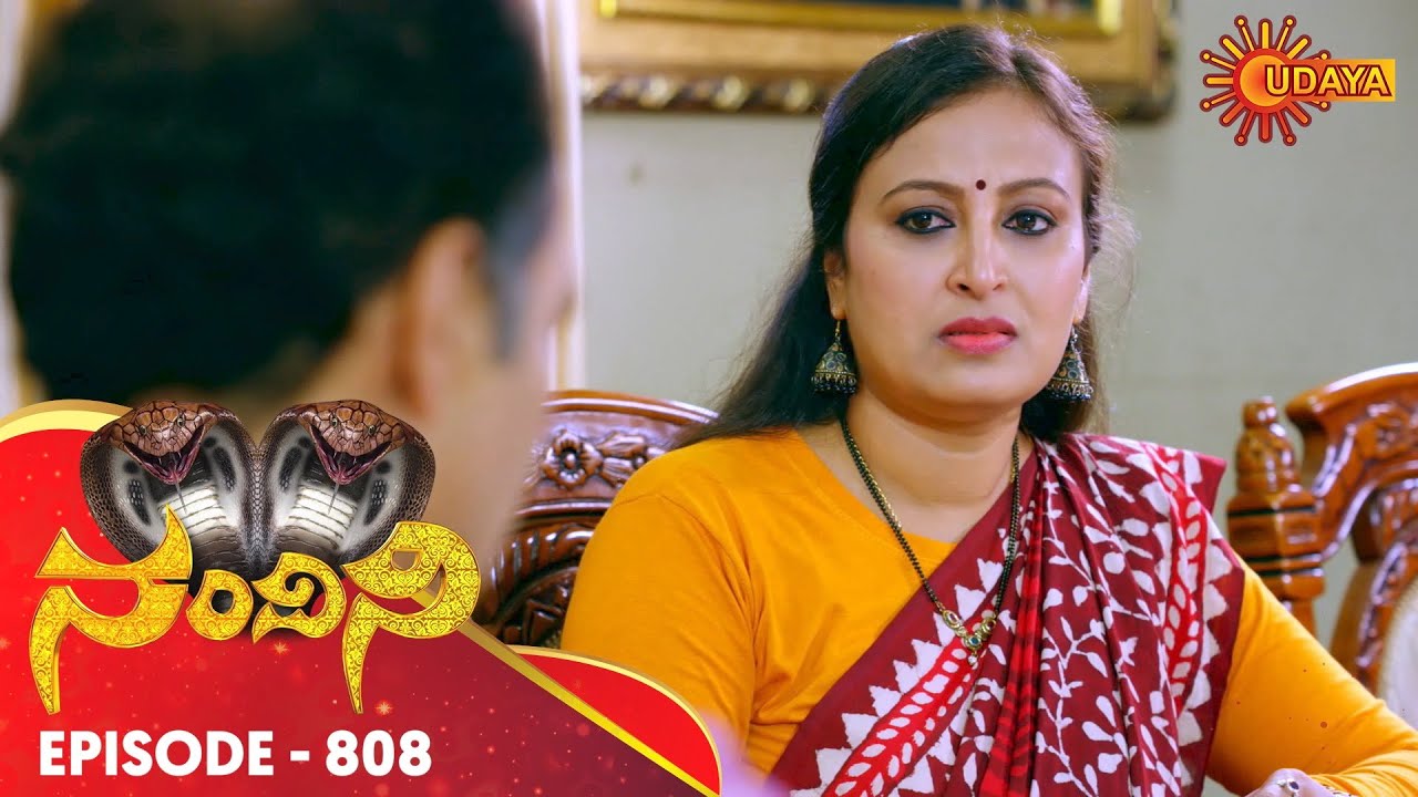 Nandini - Episode 808 | 30th Nov 19 | Udaya TV Serial | Kannada Serial