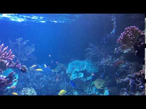 Abyzz AFC400 test run