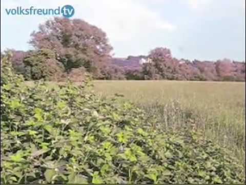 volksfreund.tv vom 15. Mai