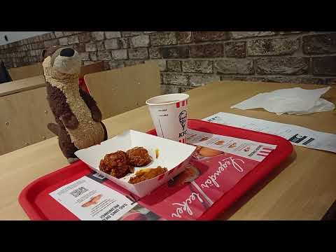 Korean wings at KFC Leipzig Main Station for the otter Marlenka