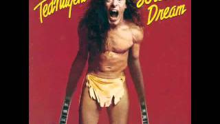 Ted Nugent - Wang Dang Sweet Poontang