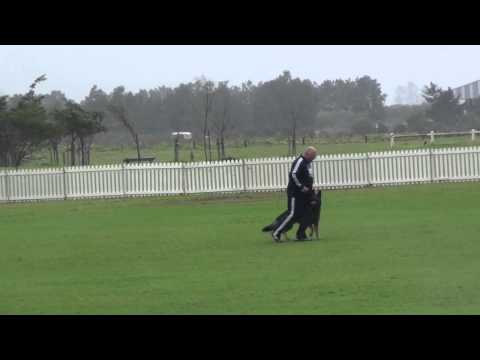 Mike Seddon and Felix von Karthago - B80 IPO3 SA Nationals 2014