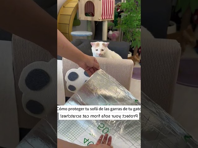 Vídeo relacionado con TANTEC Funda para Reposabrazos de Sofá, Funda de Sofá Gruesa, Ideal para Mascotas, Resistente a Arañazos y Pelos, Duradero y Lavable, (70 x 70 cm, Grey Oscuro)