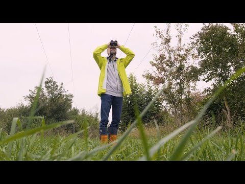 Ökologischen Trassenmanagement (ÖTM) im Naturschutzgebiet