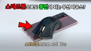 퀘이사존