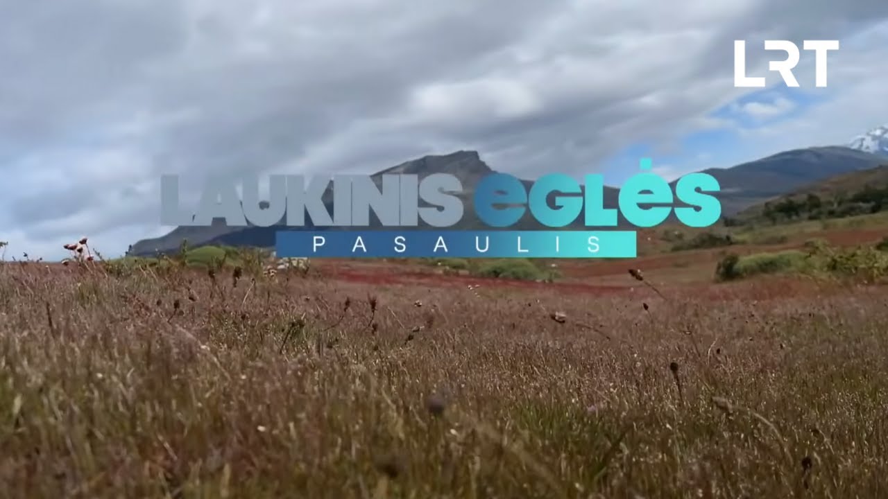 Laukinis Eglės pasaulis. Atšiauriausioje Žemės vietoje laivu plaukusi Eglė