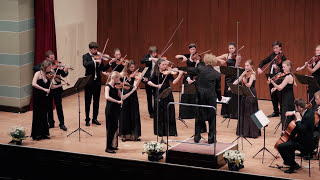 Mancini: Pink Panther (arr. for string orchestra)