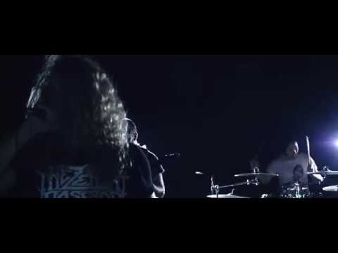 THE ARCHIVIST - The Clarity Process (OFFICIAL MUSIC VIDEO)