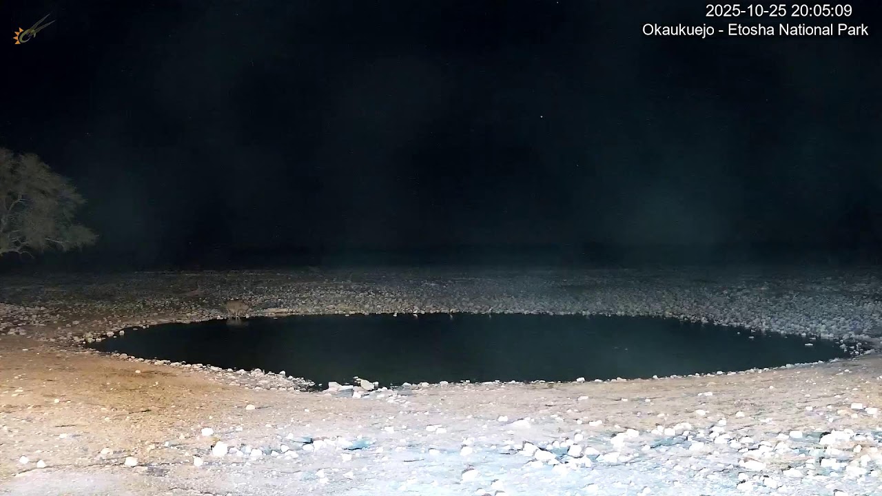 Live webcam view of Okaukuejo Waterhole Live Cam