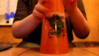 Cupsong meldy with Lyrics of Set the Night o Fire from Camryn