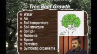 Community Tree Management Institute - The Dirt On Urban Soils