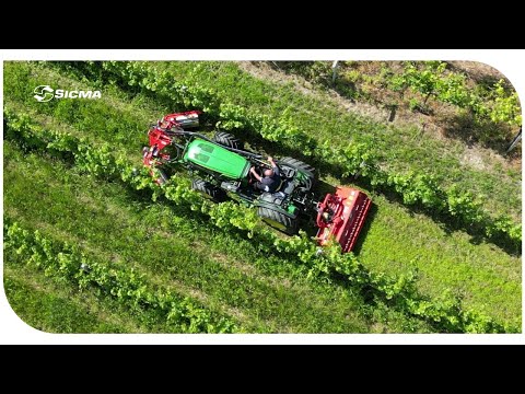 Interfilare anteriore con spollonatrice e Trincia posteriore per il diserbo completo del filare