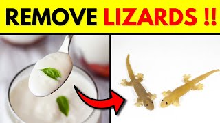 How To Get Rid Of Lizards Permanently At Home (6 Easy Ways !!)