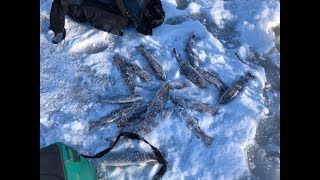 Рыбалка на реке лимури хабаровский край