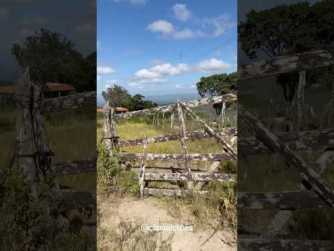 Lagoa de Santa Cruz- Mata Grande-AL, a serra mais alta de Alagoas Tristeza do Jeca - Zezé de Camargo