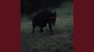 PREDATOR (Super Slowed)