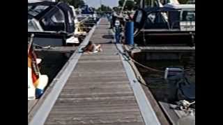 preview picture of video 'Yachthafen - Rechlin / Mai 2009  -  Puerto de yate-Rechlin en Müritz. (el mayor lago de Alemania)'