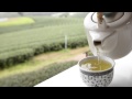 White Tea Why Isn T It More Popular