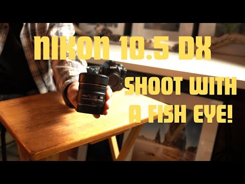 Video thumbnail for Video Review 3