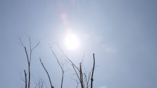 相変わらず・ この技30年生。 今日は決まりすぎじゃない。 先祖・人間の為 何かの存在が動いたんでしょう 。