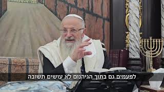 ה׳ מקשה את לב הרשעים - למען השמידם | הרב שמואל אליהו | הלכה יומית | כ״ח בסיוון תשפ״ה (הרב שמואל אליהו) - התמונה מוצגת ישירות מתוך אתר האינטרנט יוטיוב. זכויות היוצרים בתמונה שייכות ליוצרה. קישור קרדיט למקור התוכן נמצא בתוך דף הסרטון