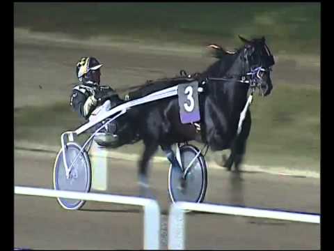 Trotto 02/11/2014 - 9° corsa