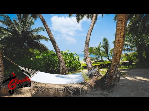 Freeze Dream - Love Meter (House)