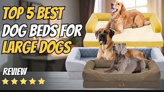Top 5 Best Dog Beds for Large Dogs 2026 | Orthopedic, Waterp
