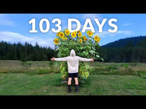I Grew Giant Sunflowers and Filmed Them For 104 Days