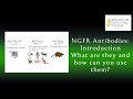 NGFR Intro English
