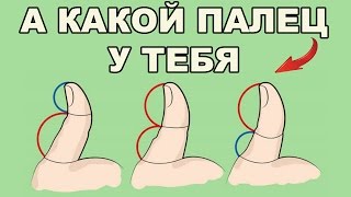 БОЛЬШОЙ ПАЛЕЦ НА РУКЕ РАССКАЖЕТ МНОГОЕ