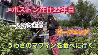 🇺🇸ボストン在住主婦🙂一人時間が好き😳ガーデニングをしてマフィン屋さんへ行く#アメリカ生活 #40代主婦 #海外生活