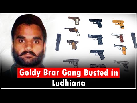 Ludhiana Police Bust Goldy Brar–Linked Arms & Extortion Syndicate, 12 Sophisticated Weapons Seized