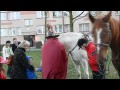 Wideo: Gsina na witego Marcina w Legnicy