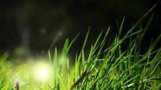 Download lagu Satu Nama Tetap Dihati - Kalia Siska (Reggae SKA Version mp3