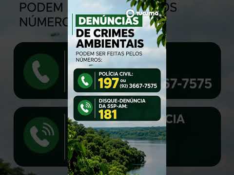 Homem é preso por suspeito de provocar incêndio no Careiro da Várzea