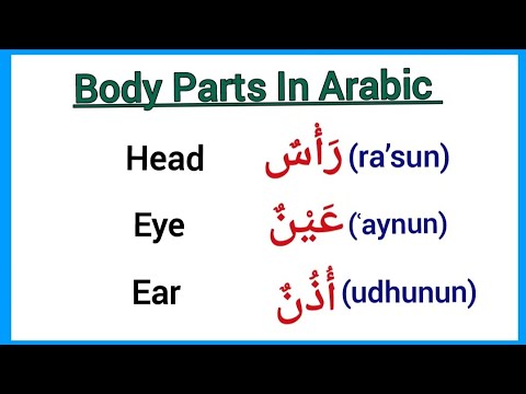 Body parts in arabic/body parts name in arabic/parts of the body in arabic