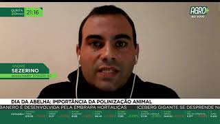 Miniatura do vídeo