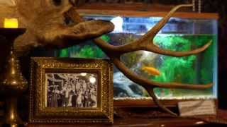 Final Cut Escape My Room