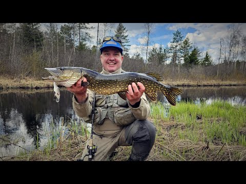 01 05 2023 matsika haug