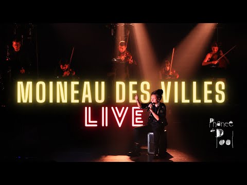 Moineau des villes