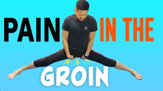 Inner Thigh Pinching Pain - Simple Adductor Strengthening Exercise