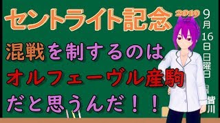 【競馬予想】セントライト記念2019 予想と買い目 混戦を制するのはオルフェーヴル産駒！？