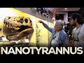 The Difference Between Nanotyrannus and T. Rex | Peter Larson of BHI, Tyrannosaur Expert | TBM Clips