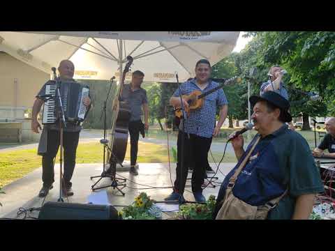 "PICOKIJADA 2021." - Vid  Balog: 'ko ih . . .