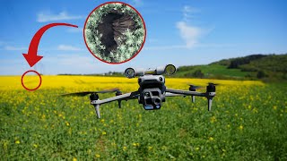 Achtung, Sauen im Raps! Wie gut funktioniert das Ansprechen mit der M4T wirklich?