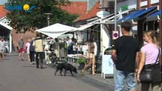 preview picture of video 'Ferienhäuser rundt Ringköbing Förde Dänemark - Feline Holidays'