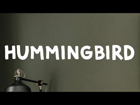 Metro Boomin’ - Hummingbird (Lyrics) Feat. James Blake